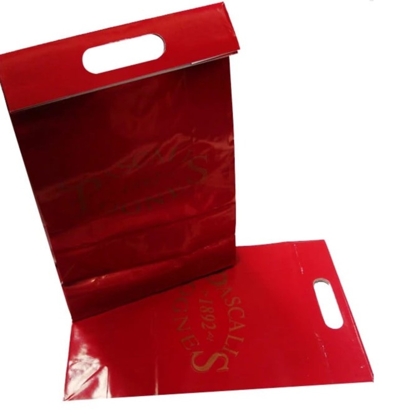 Punga de cadou, cartonata, Pascalis